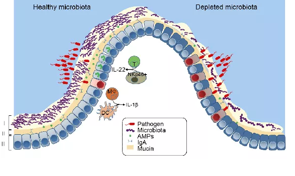 �±�GG��������ҵƽ̨