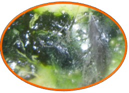 �±�GG��������ҵƽ̨