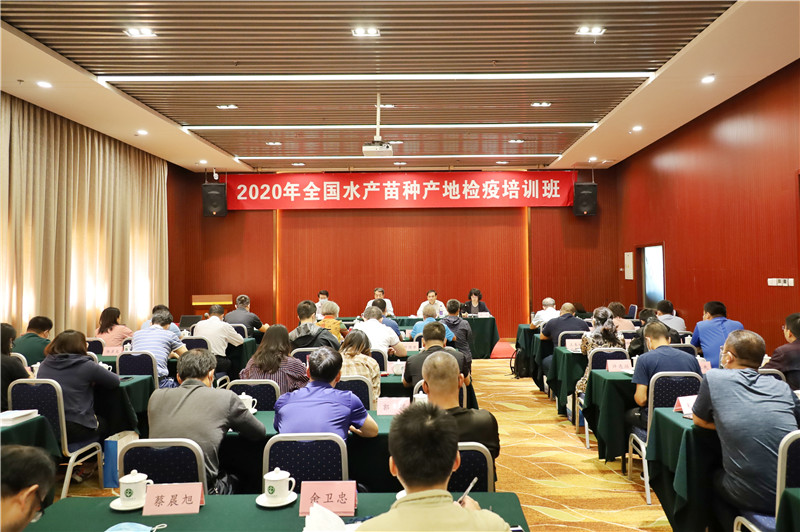 �±�GG��������ҵƽ̨