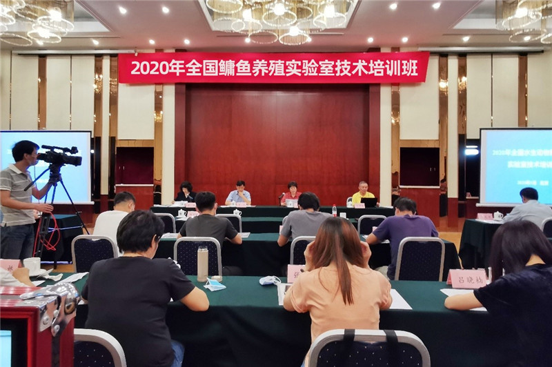 �±�GG��������ҵƽ̨