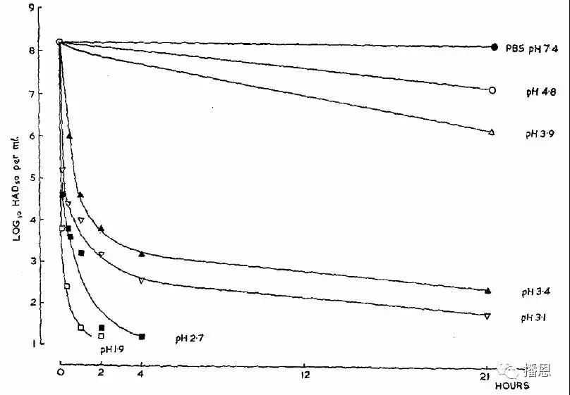 �±�GG��������ҵƽ̨