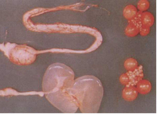 б¦GG¡ª´´Á¢ÊÂҵƽ̨