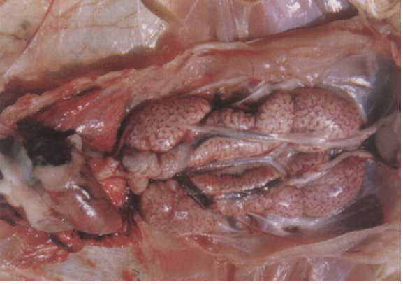 б¦GG¡ª´´Á¢ÊÂҵƽ̨