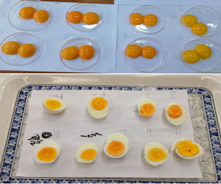 �±�GG��������ҵƽ̨